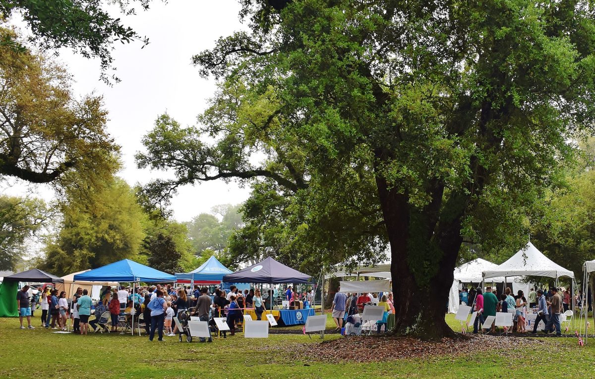 Art in the Pass Returns with Fine Arts and More April 5-6, 2025