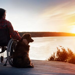 A person sits in a wheelchair on a dock next to a body of water, watching the sunset. They are petting a dog.
