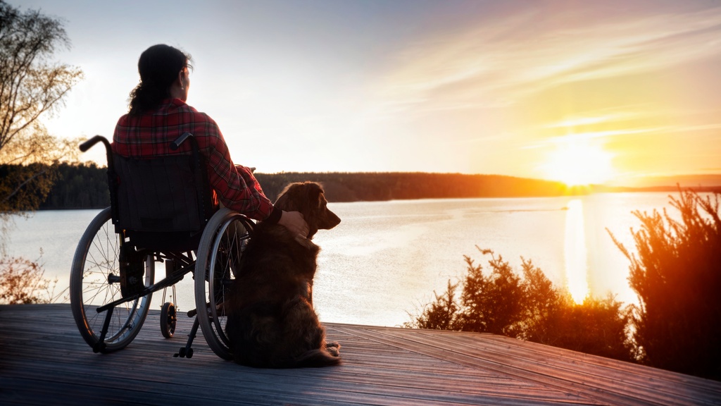 A person sits in a wheelchair on a dock next to a body of water, watching the sunset. They are petting a dog.