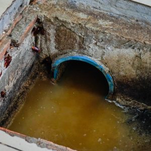 The floor of a restaurant kitchen with an exposed grease trap that's full of water and trapped grease.
