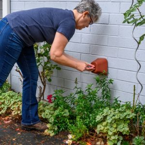 A woman with short gray hair leans forward to install a foam cover over a plumbing outlet outside a house.