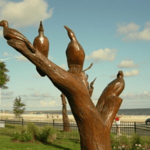 All along scenic Highway 90 on the Mississippi Coast, from Bay St. Louis to Biloxi, motorists will spot a series of unusual trees.