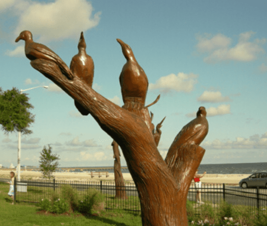All along scenic Highway 90 on the Mississippi Coast, from Bay St. Louis to Biloxi, motorists will spot a series of unusual trees.