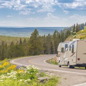 A camper drives down a winding road in the mountains. There are pine trees and wildflowers on either side of the road.