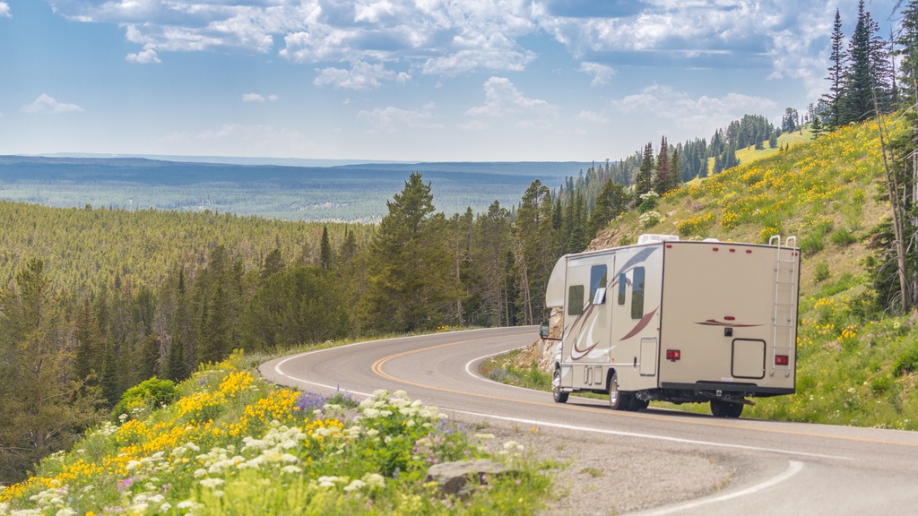 A camper drives down a winding road in the mountains. There are pine trees and wildflowers on either side of the road.