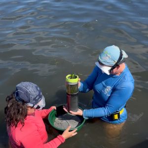 Caitlin Young (right) and undergraduate Rachell Pica (left) sieve through turtle grass core for seed collection. The research collected supports seagrass restoration on the Chandeleur Islands.