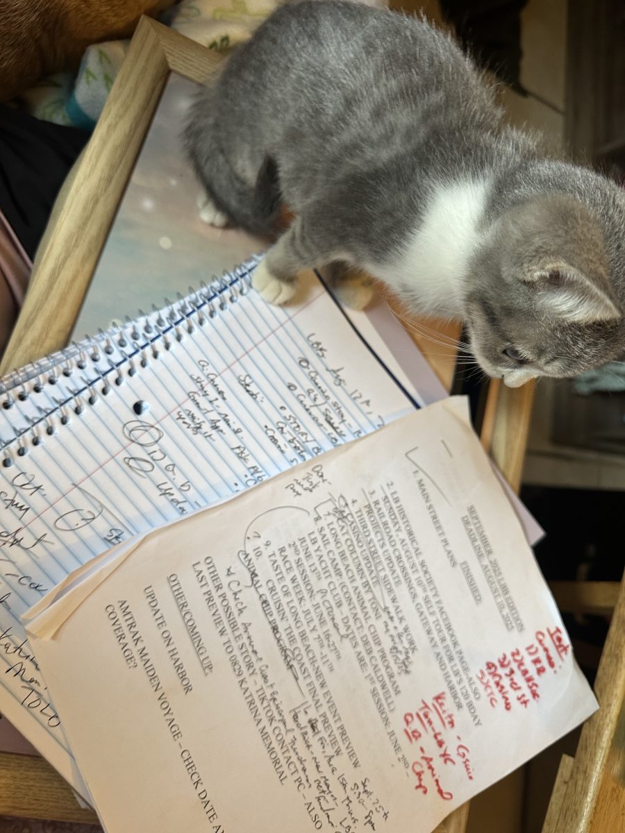 The latest addition to this journalist’s family, Charlie, assists her new caretaker as she (tries to) work. (Photo credit Toni Miles)