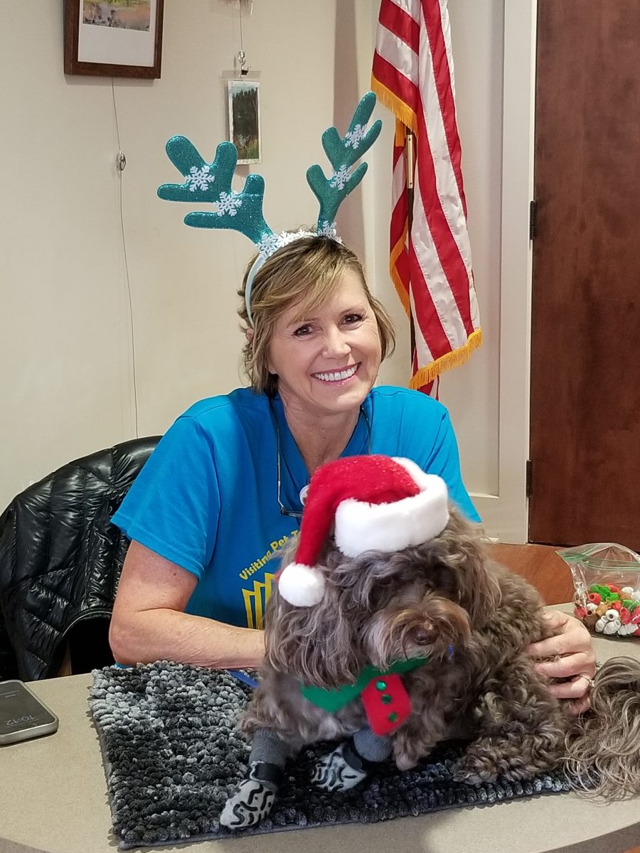 Christmas Elves and the Christmas Sit, Stay, READ! Children's Reading Program.