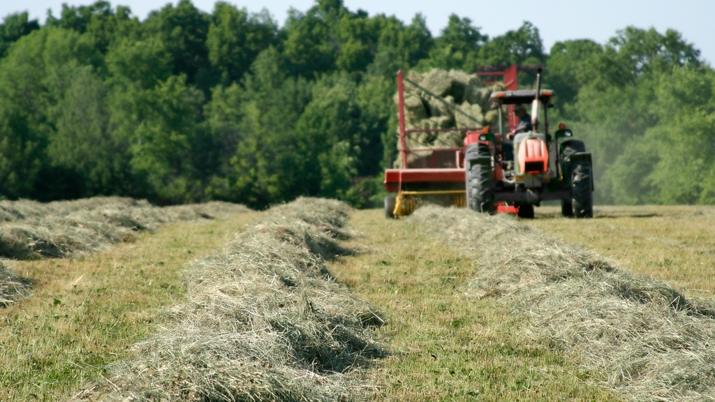A ground-level view of a grass field with rows of freshly discarded hay, with a tractor pulling a hay baler approaching.