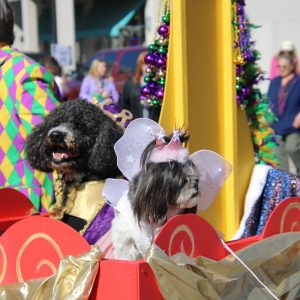 2025 King Waggus I and Queen Pearl of the Pass.