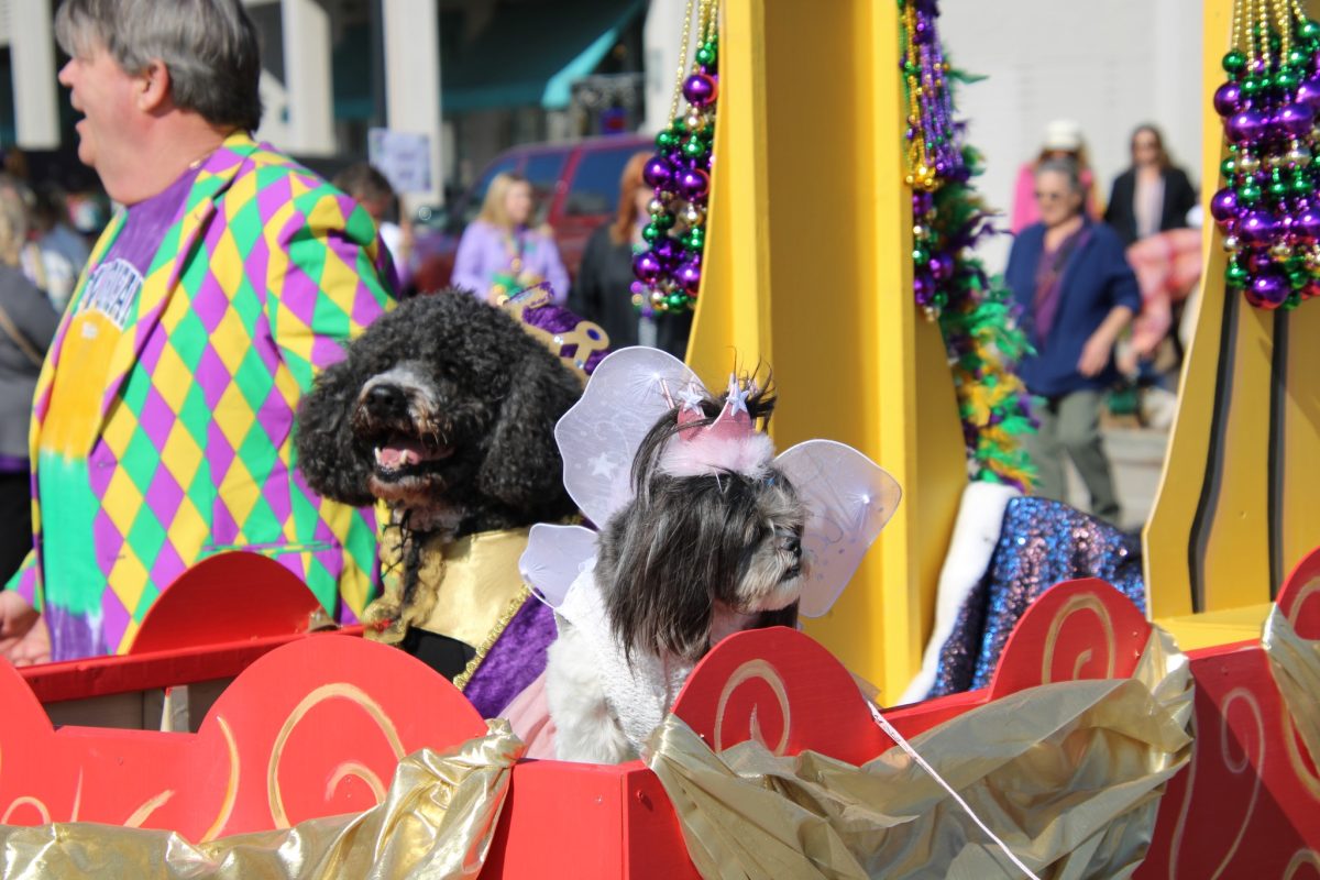 2025 King Waggus I and Queen Pearl of the Pass.