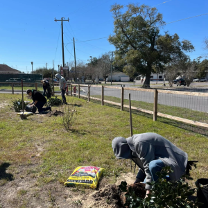 Members of the Long Beach Garden Club and local leaders are seen pictured here at last year’s Arbor Day Celebration, where the Garden Club donated five camellia bushes that were planted at Greenvale (the old “Quarles House).