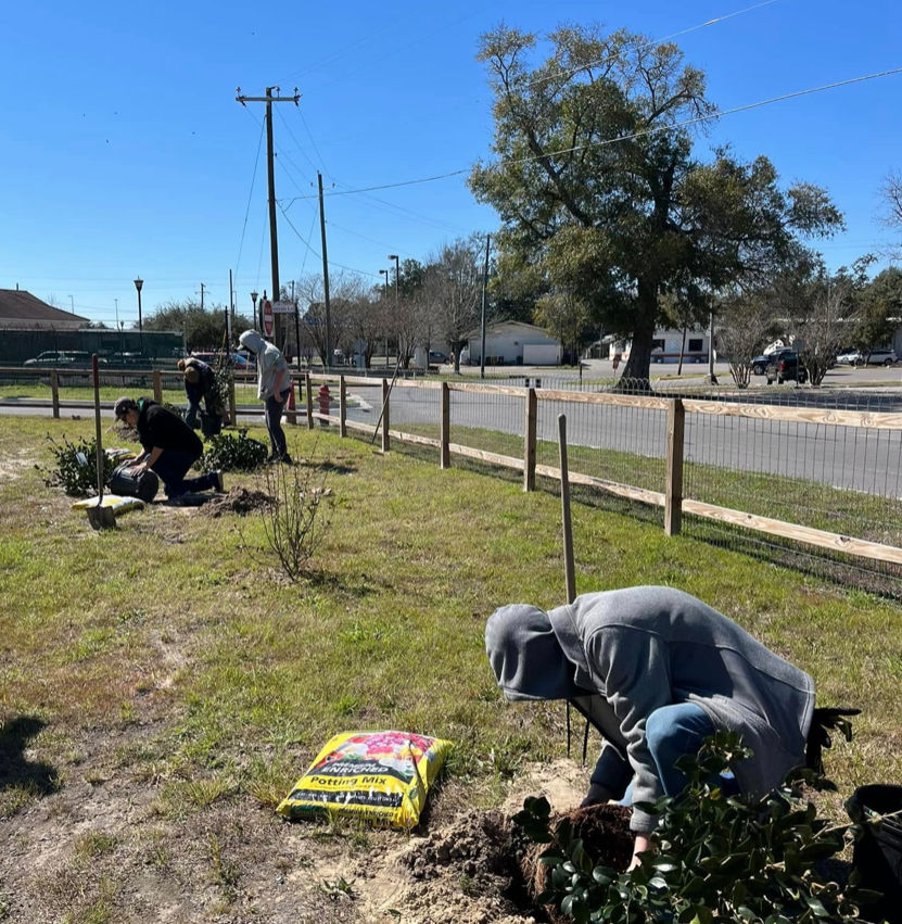 Members of the Long Beach Garden Club and local leaders are seen pictured here at last year’s Arbor Day Celebration, where the Garden Club donated five camellia bushes that were planted at Greenvale (the old “Quarles House).