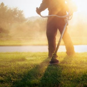 Someone using a string trimmer to cut some grass. The sun is shining right past them as it sets in the distance.