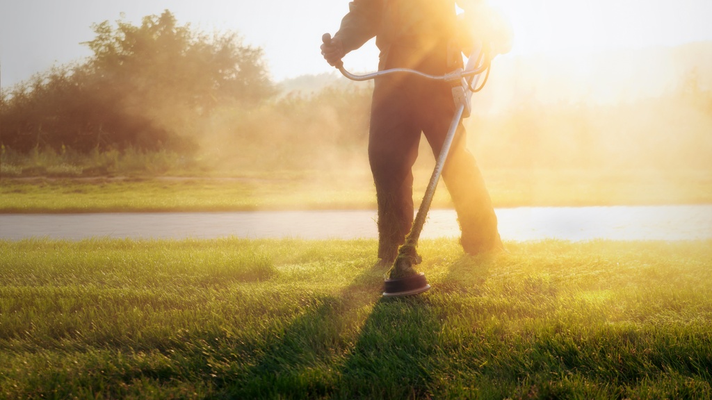 Someone using a string trimmer to cut some grass. The sun is shining right past them as it sets in the distance.