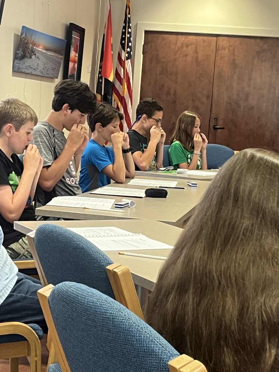 Class learning to play the harmonica