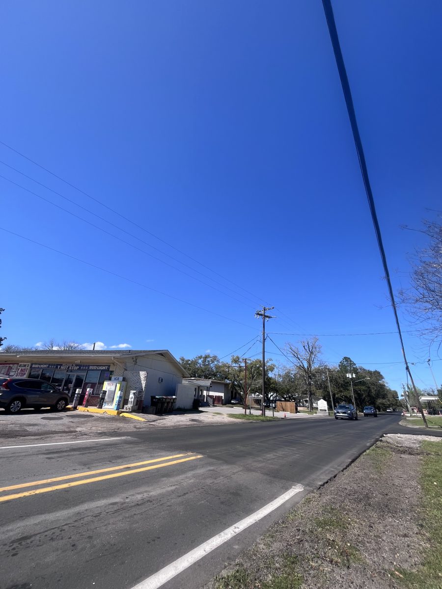 Photo credit Toni Miles