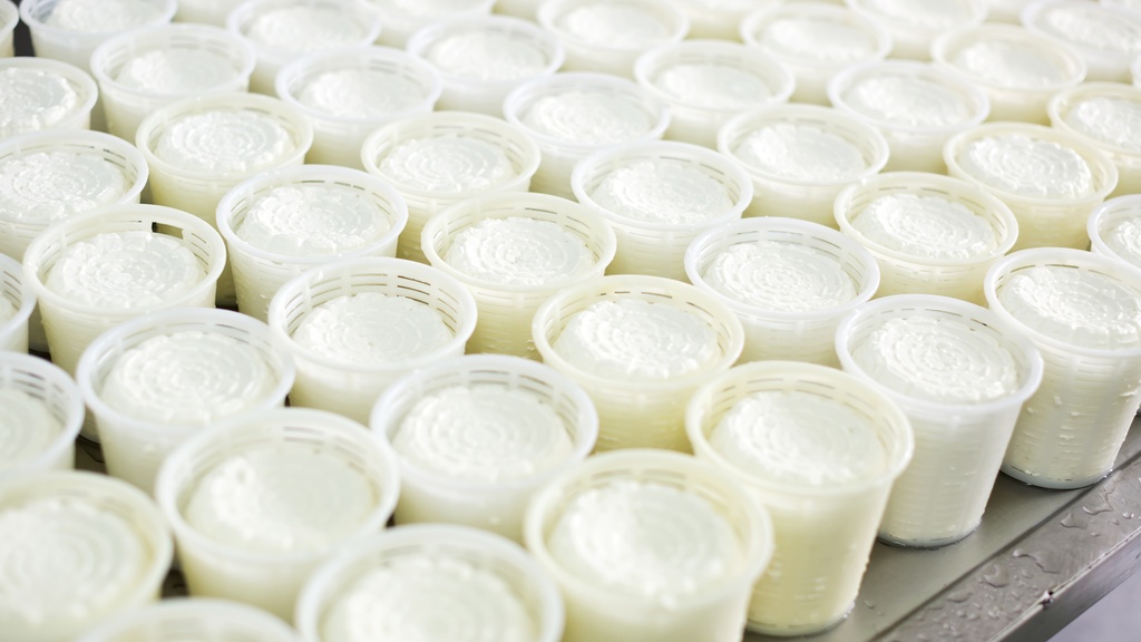 A close-up of multiple rows of cottage cheese in clear plastic packaging on a stainless steel surface.