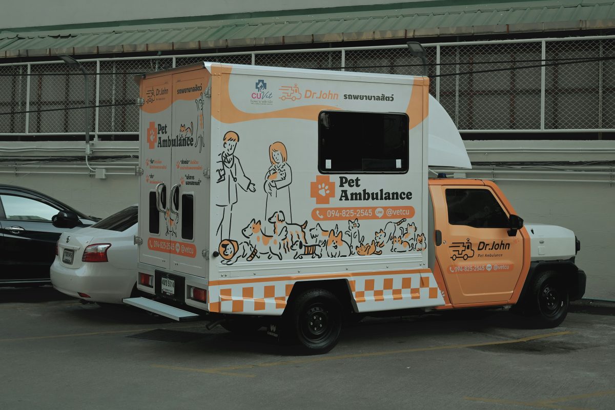 orange and white pet ambulance vehicle