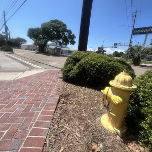 The Long Beach Fire Department will continue its state-mandated fire hydrant testing into the month of June.