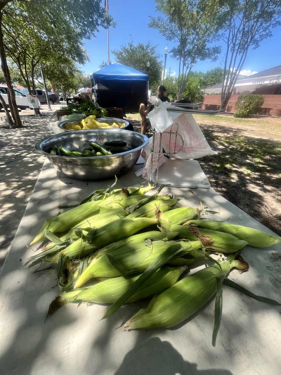 Fresh produce, along with crafts and goods by local artists and artisans, are typically available. (Photo: Toni Miles)