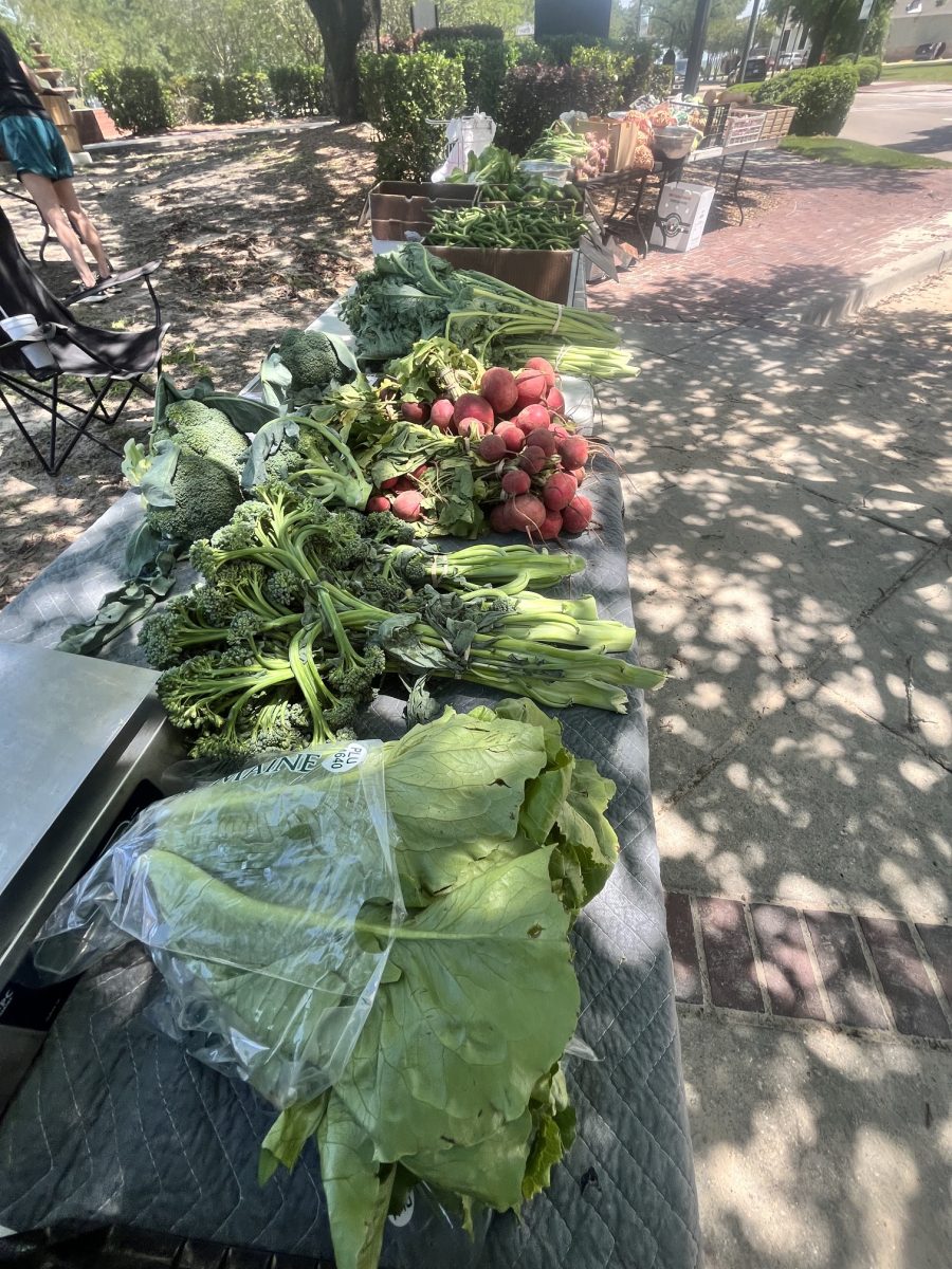 Fresh, locally grown fruits and vegetables, as seen here, are among the goods that can be purchased each Sunday at the market. (Photo: Toni Miles)