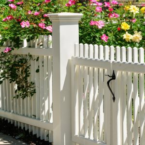 A white gate and fence with pink climbing roses growing along the panels in an outdoor garden setting.