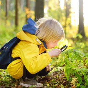 A young child holding a magnifying glass near green fern leaves while crouching outdoors in a wooded area.