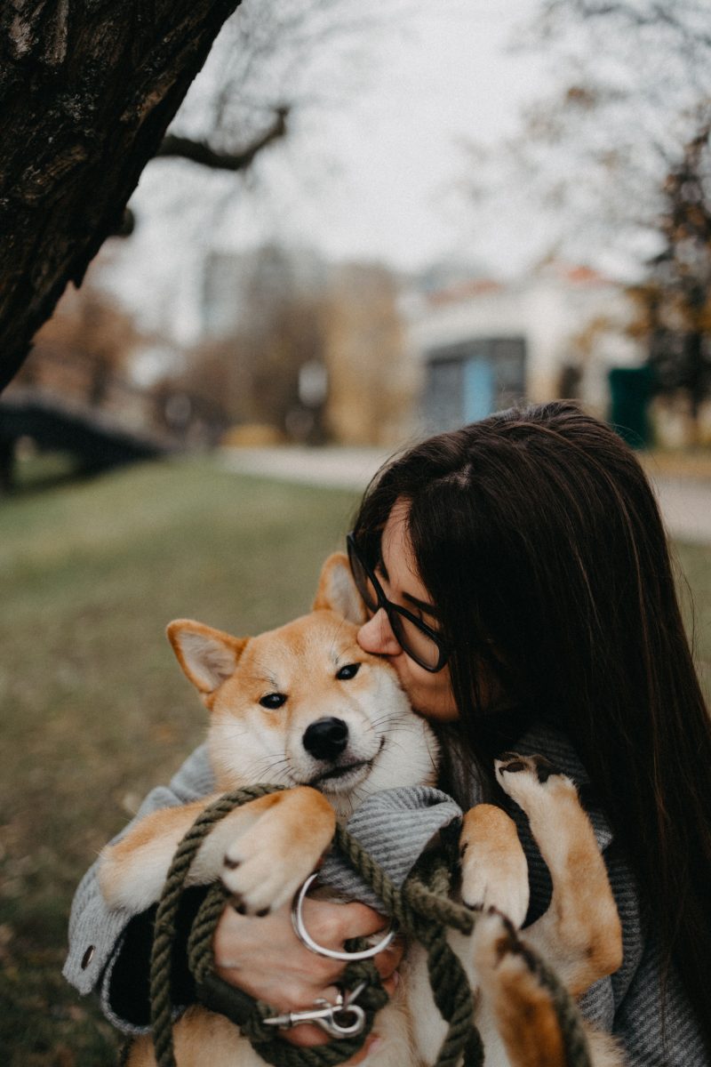 woman kissing her pet dog