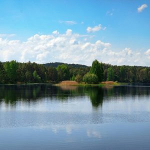 tranquil lake and forest landscape
