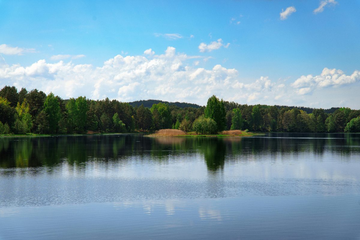 tranquil lake and forest landscape