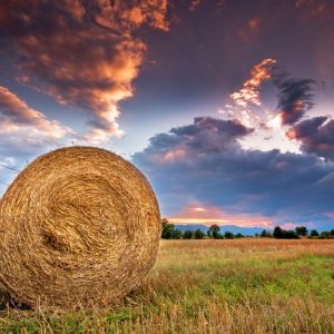 A side view of a round hay bale in a field with other hay bales behind it and the sun setting behind clouds in the distance.