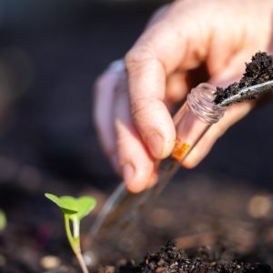 A person is gathering soil from the ground and is putting it in a clear test tube. There is a green plant growing out of the ground.
