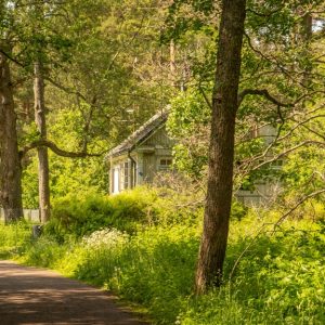 A small countryside cottage nestled in a large copse of trees. There is a small dirt path leading up to the cottage.