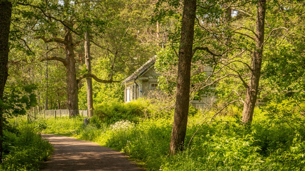 A small countryside cottage nestled in a large copse of trees. There is a small dirt path leading up to the cottage.