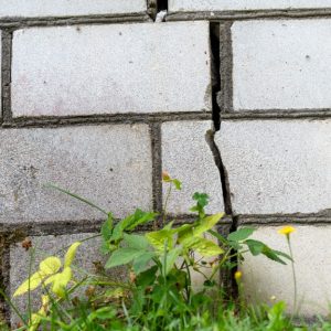Close-up of a crack in the foundation of a home. The wall of the home consists of white bricks and has plants next to it.