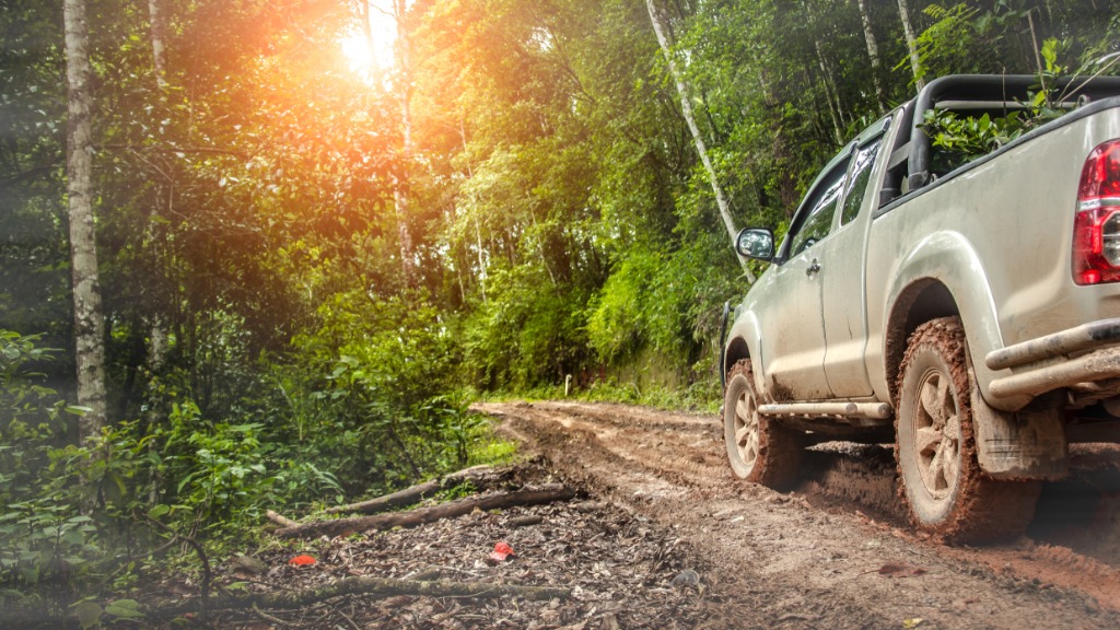 A truck is off-roading on a trail through a forest. Tall green trees stand on each side of the trail.