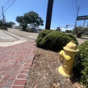 The Long Beach Fire Department will continue its state-mandated fire hydrant testing into the month of June.
