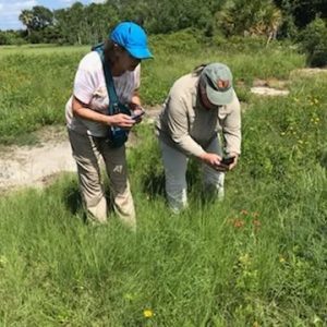 ButterflyCount