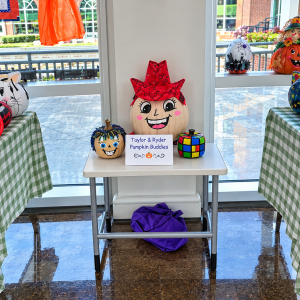 Cheerful Pumpkin Buddies Display